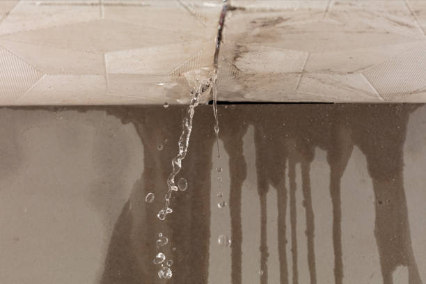 Professional Water Damage Repair technician working in Smithfield, KY